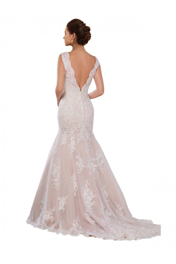 Sleeveless V-Neck Lace Ivory & Champagne Chapel Train Modern Wedding Dress Bath