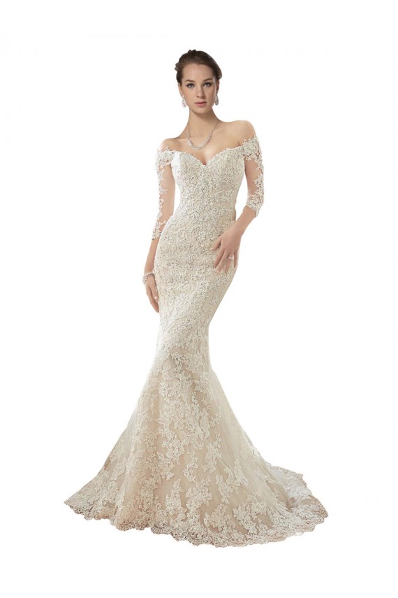 Long Sleeves Off the Shoulder Tulle & Lace Ivory & Champagne Chapel Train Wedding Dress Bath